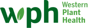 Healthy Plants