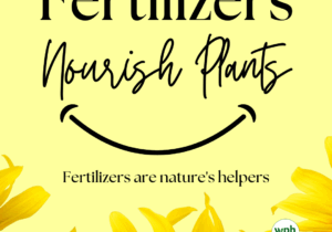 Fertilizers Nourish Plants