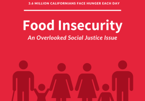 Food insecurity Blog Graphic